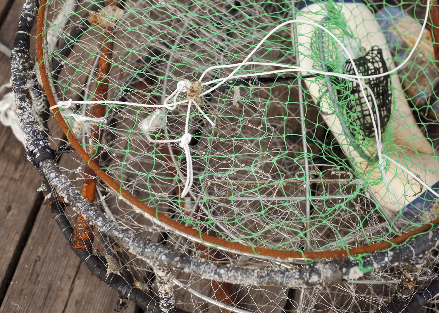 Aquaculture – Fishing for answers on fish farming | FOODWISE